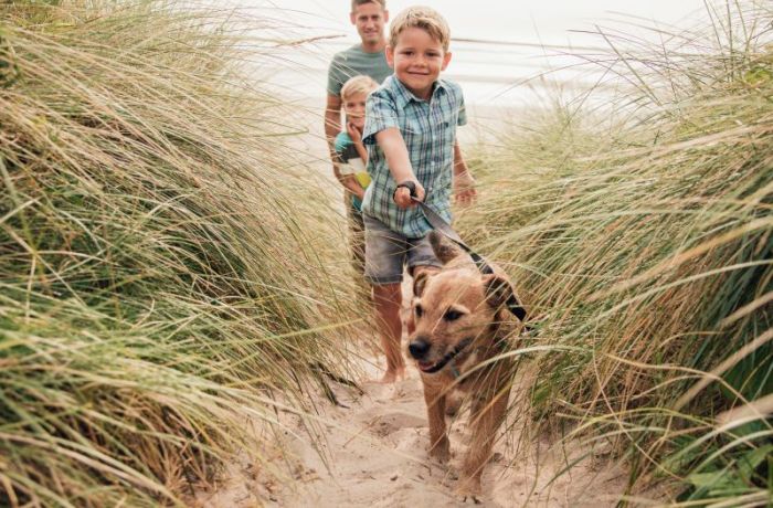 vakantiehuis met hond in friesland
